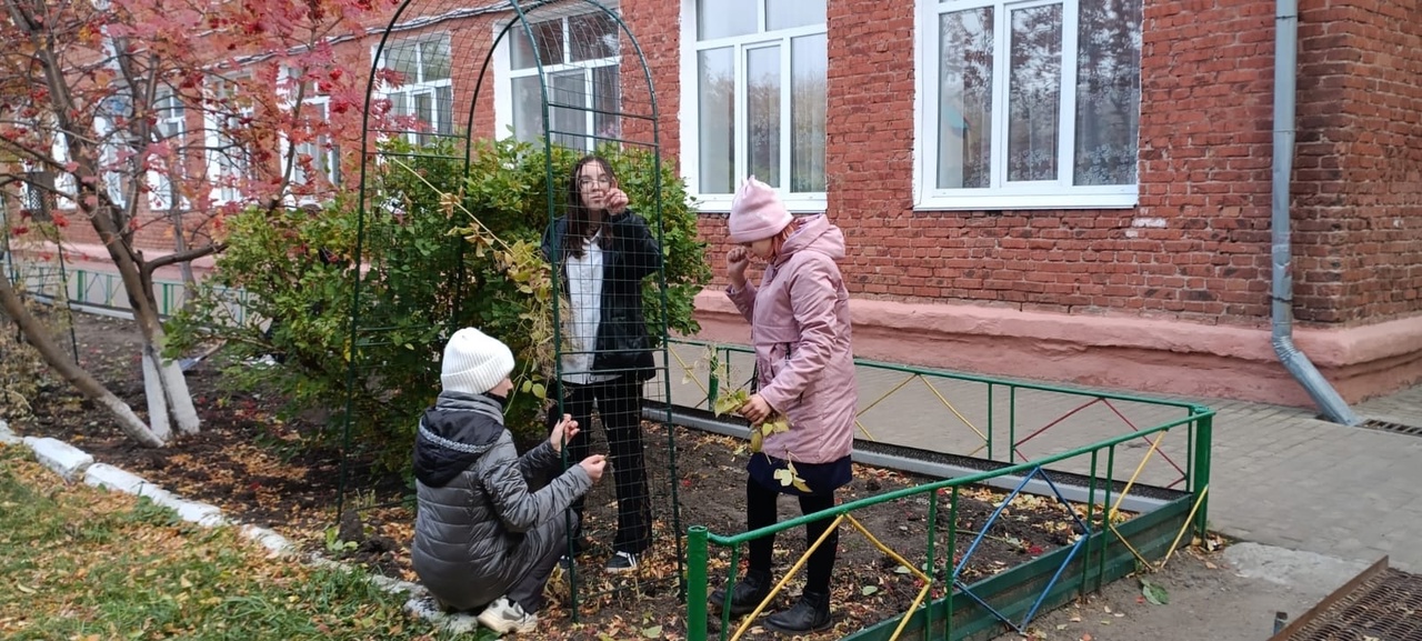 «Осенние работы на пришкольном участке»..