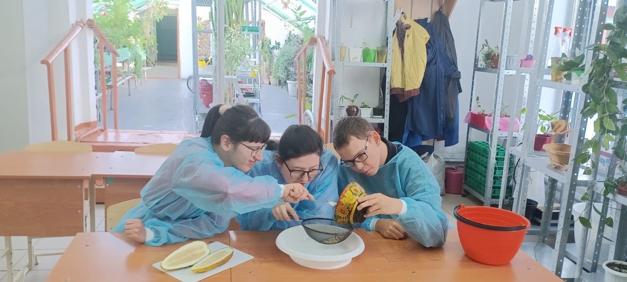 Школа для жизни.