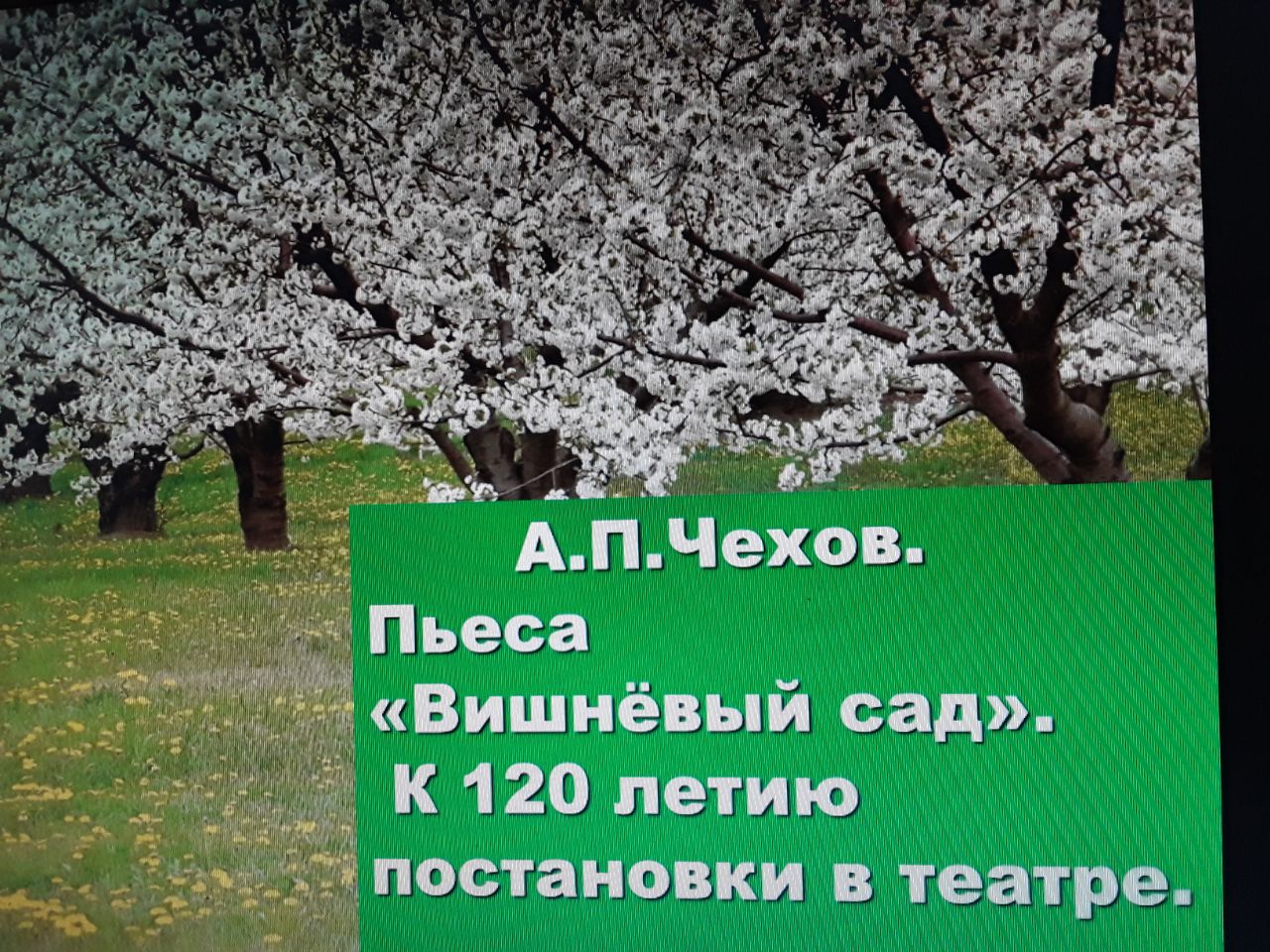 Литературная гостиная.