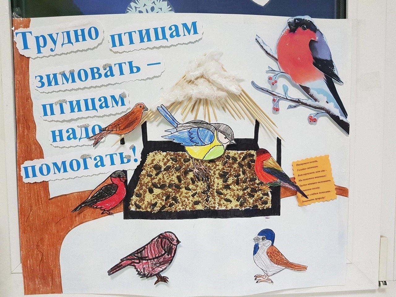 Акция «ПОМОГИ ПТИЦАМ ЗИМОЙ».