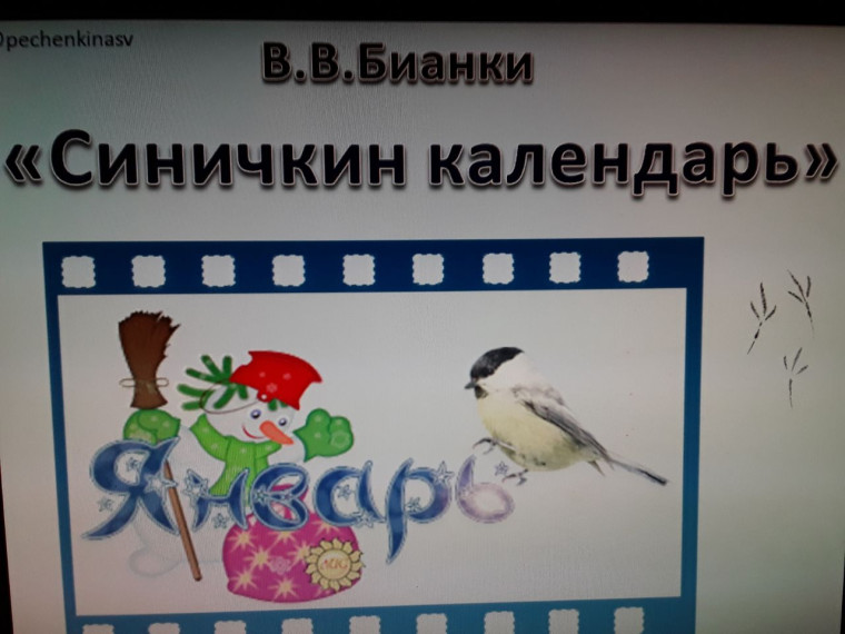 Урок комментированного чтения по книге В.В.Бианки.