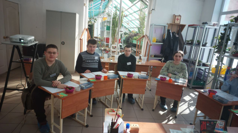 Профессиональные пробы.