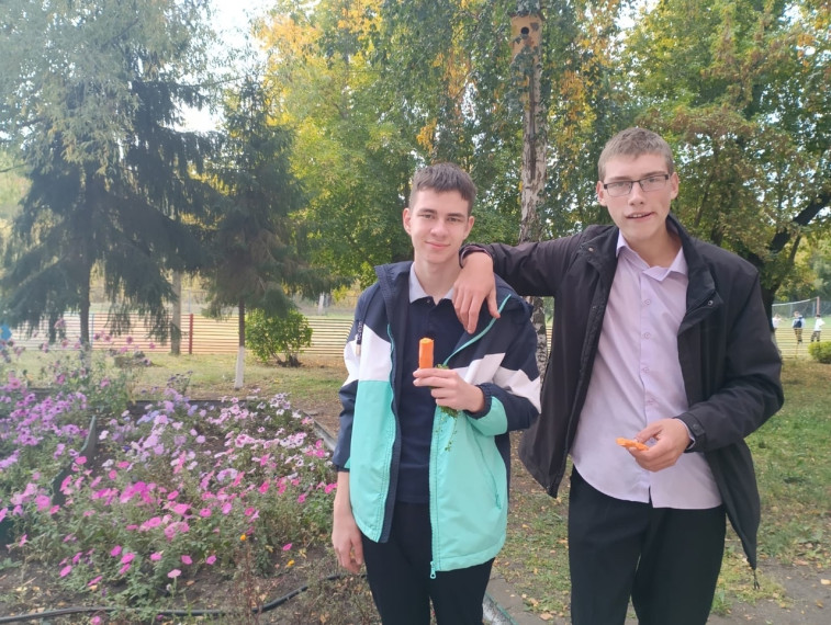 Урожай на пришкольном участке..